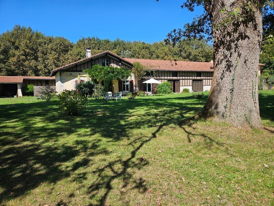 Property building, Garden