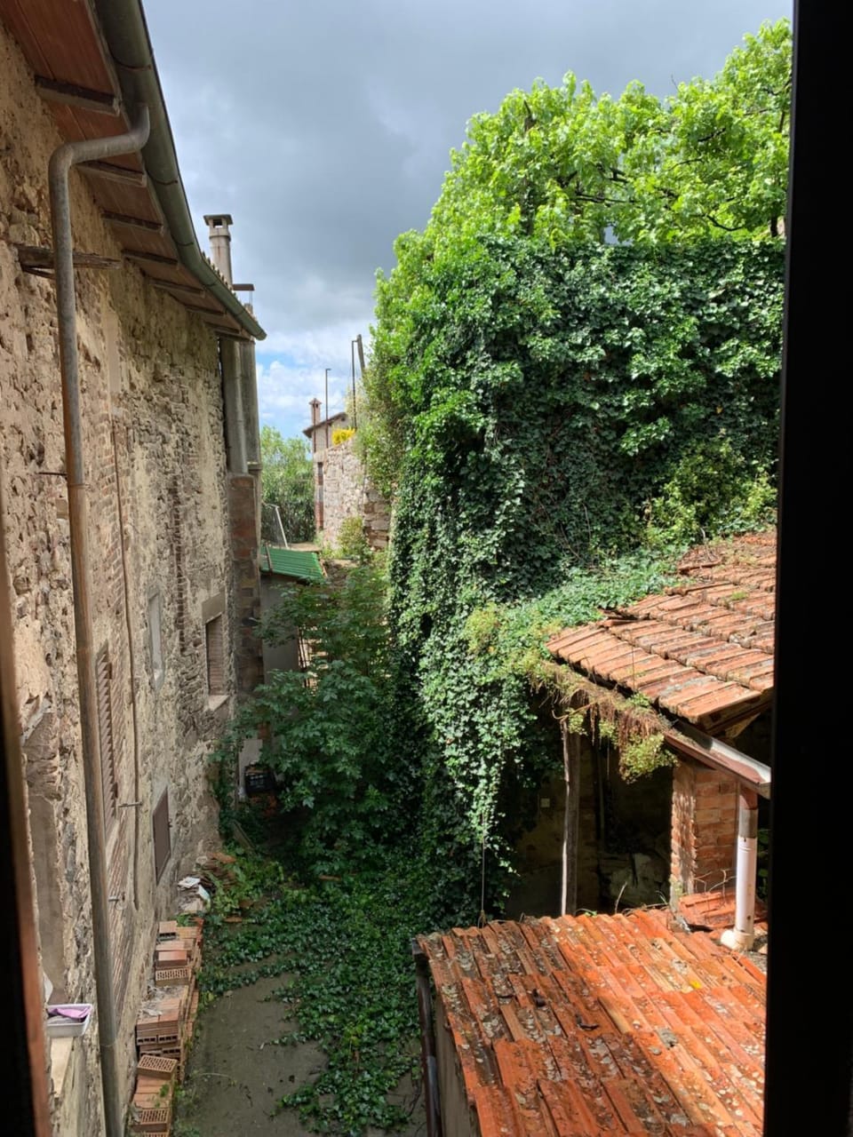 Inner courtyard view