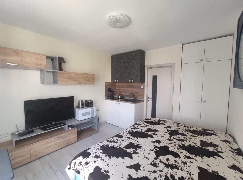 Bed, TV and multimedia