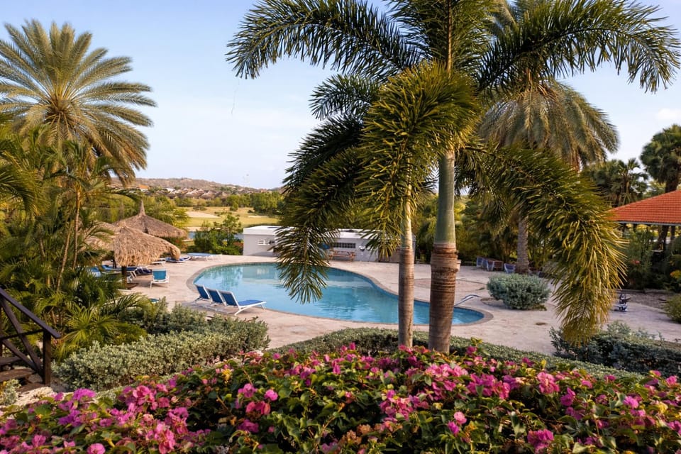 Garden, Garden view, Pool view, Swimming pool, Swimming pool