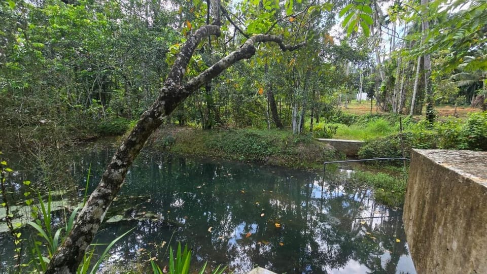 Natural landscape, Lake view