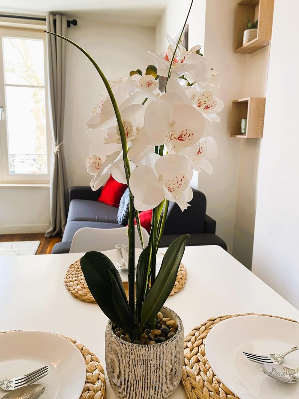 Spacious Home-Style Nancy Apartment Apartment in Nancy