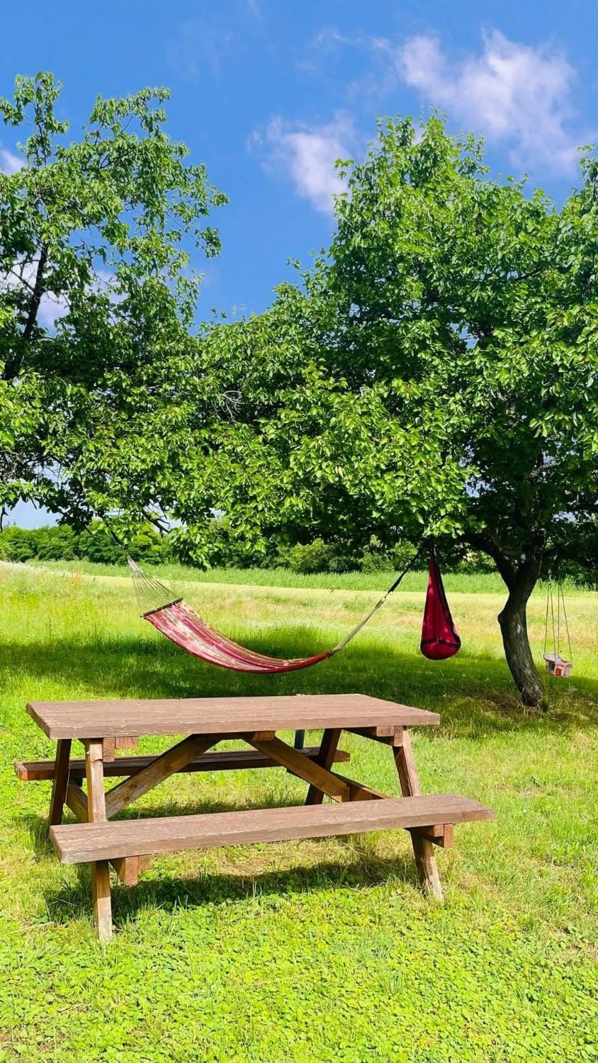 Garden, Garden view