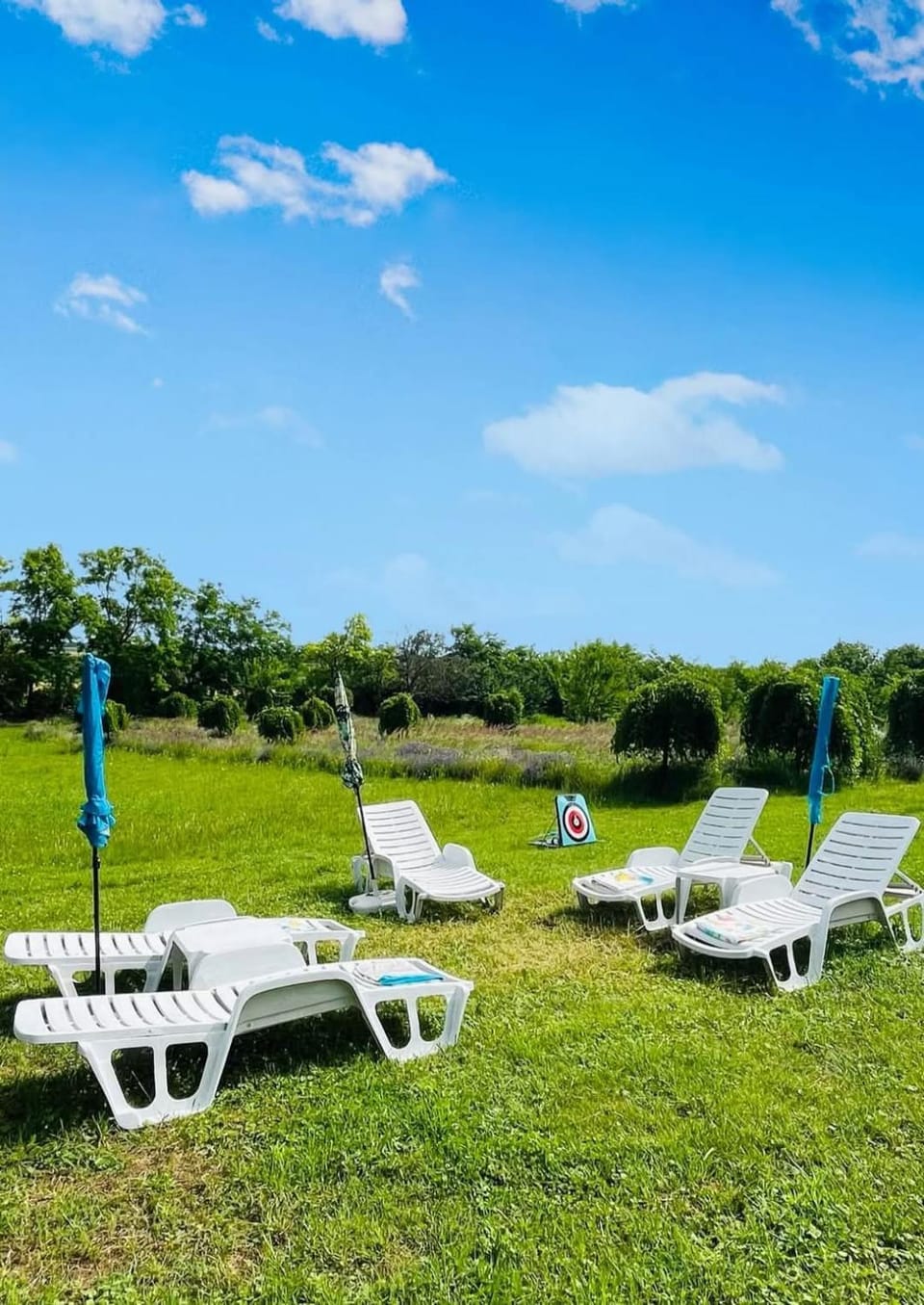 Natural landscape, Garden, Garden view, sunbed