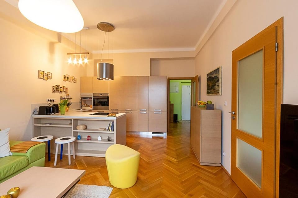 Sunny apartment Apartment in Prague