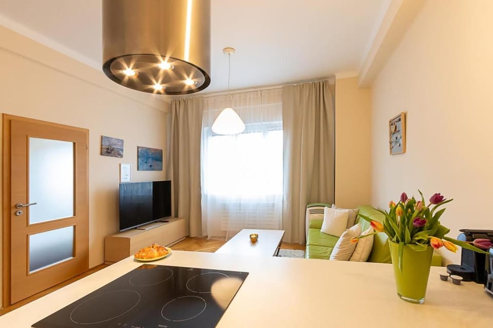Sunny apartment Apartment in Prague