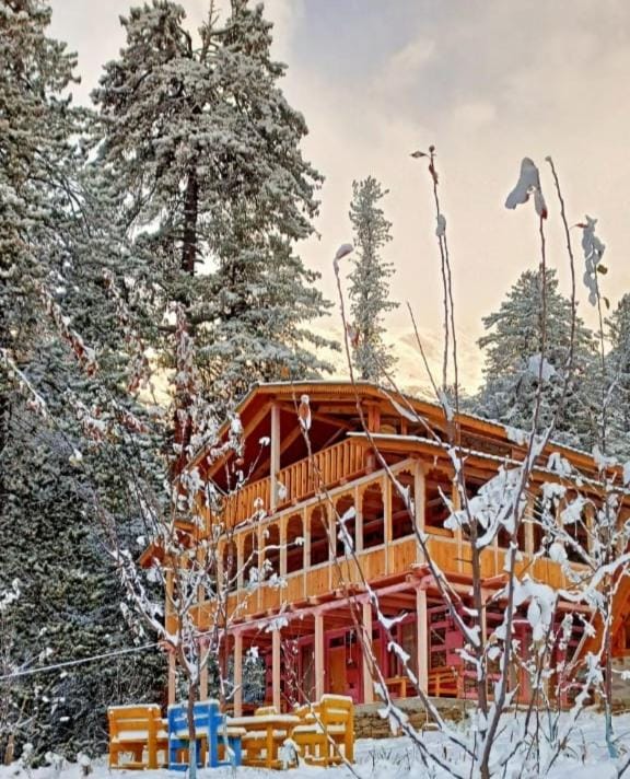 Mysterious Kutla Cottage,Kutla, Tosh Vacation rental in Himachal Pradesh