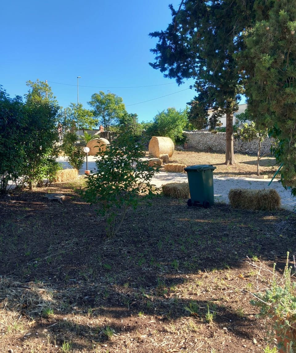 Trullo martina House in Martina Franca