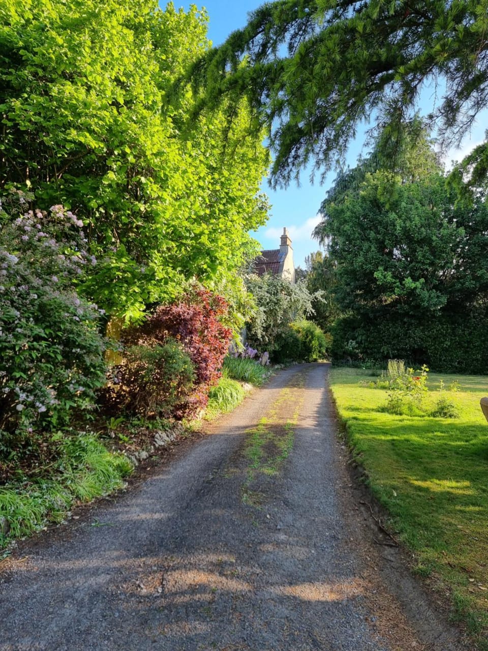 Day, Garden, Garden view