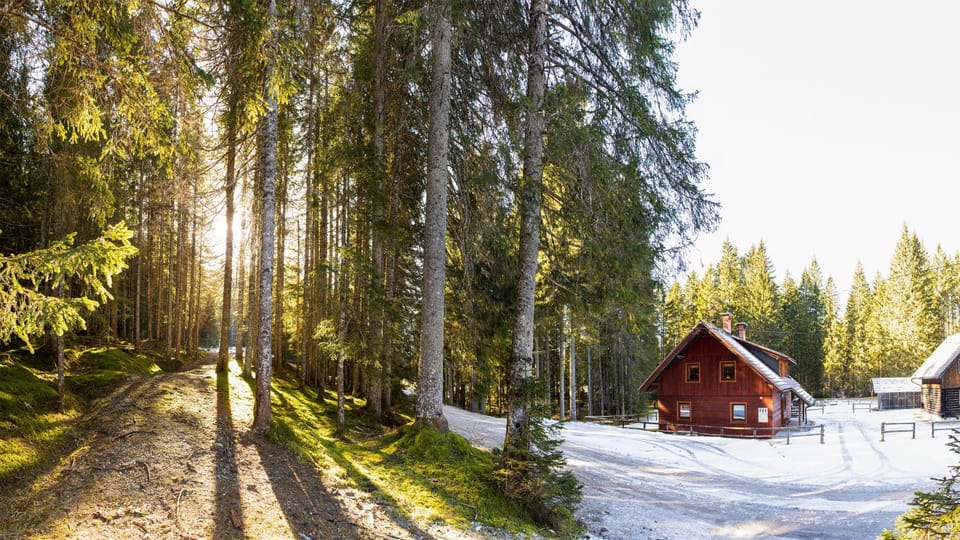 Property building, Neighbourhood, Natural landscape, Winter, Garden, Hiking