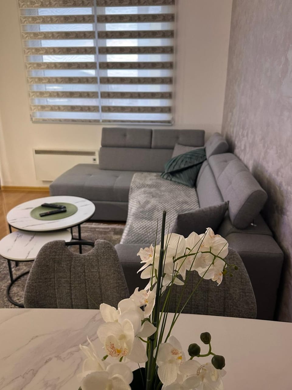 Apartman Milaa Apartment in Zlatibor