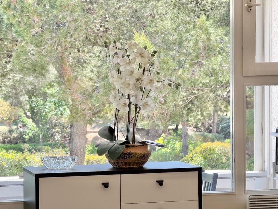 Day, Garden view