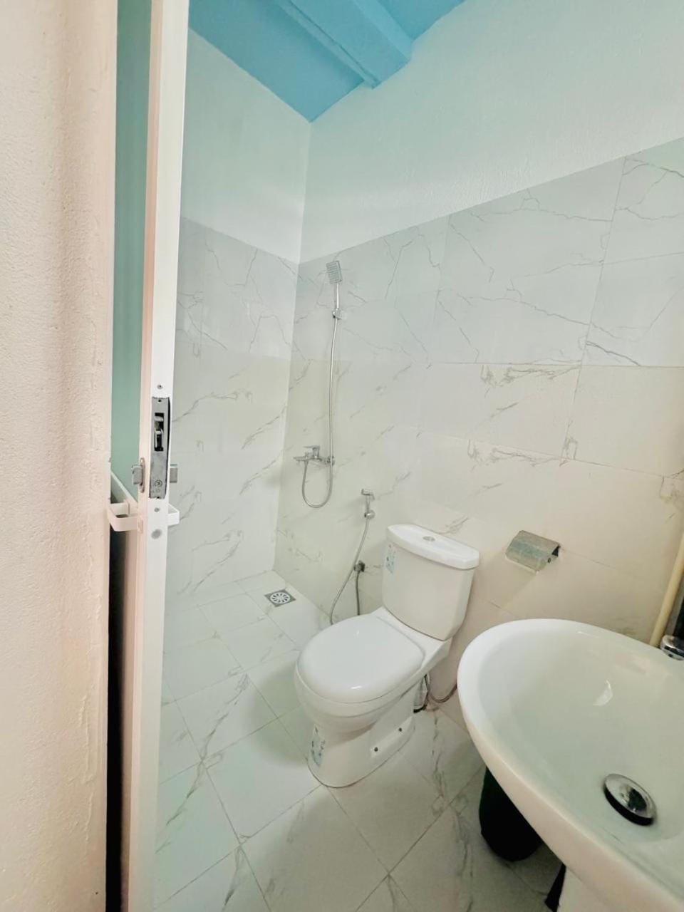 Shower, Toilet, Bathroom, bidet