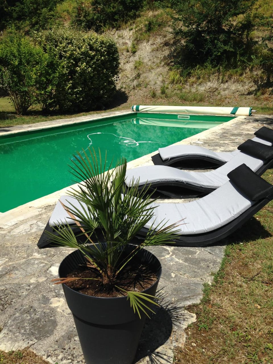 Pool view, Swimming pool, Swimming pool