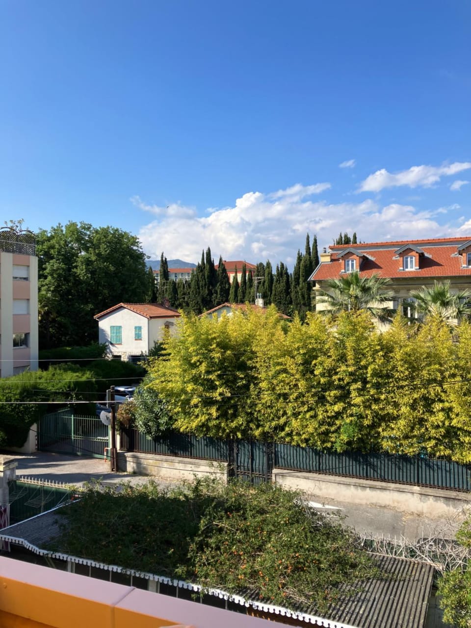 Garden view