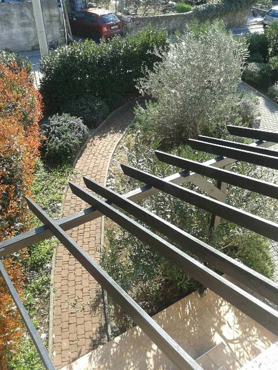 Garden view