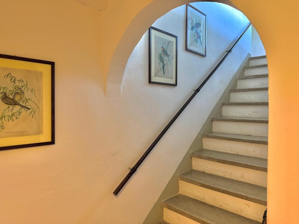 Casa Belvedere - private garden, 6pax House in Tuscany