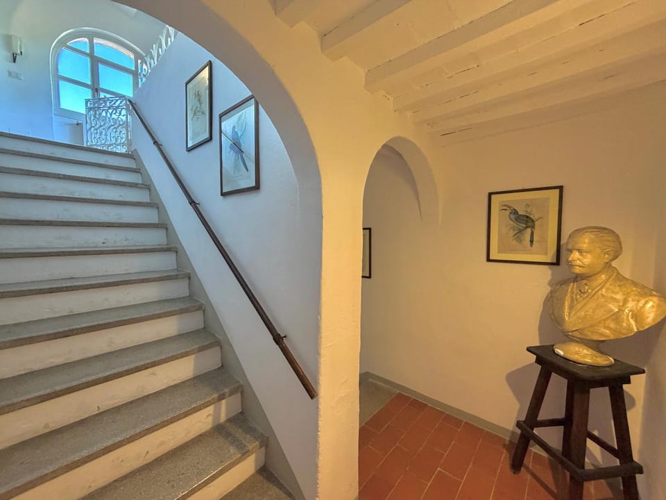 Casa Belvedere - private garden, 6pax House in Tuscany