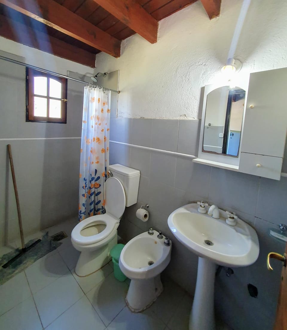 Shower, Bathroom, bidet
