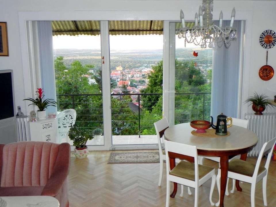 Living room, City view, Garden view