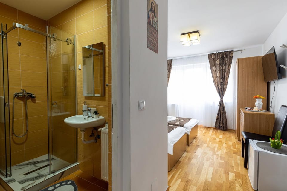 Green House Arini Bed and Breakfast in Sibiu