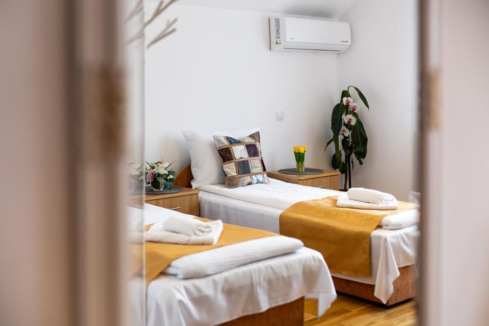 Green House Arini Bed and Breakfast in Sibiu