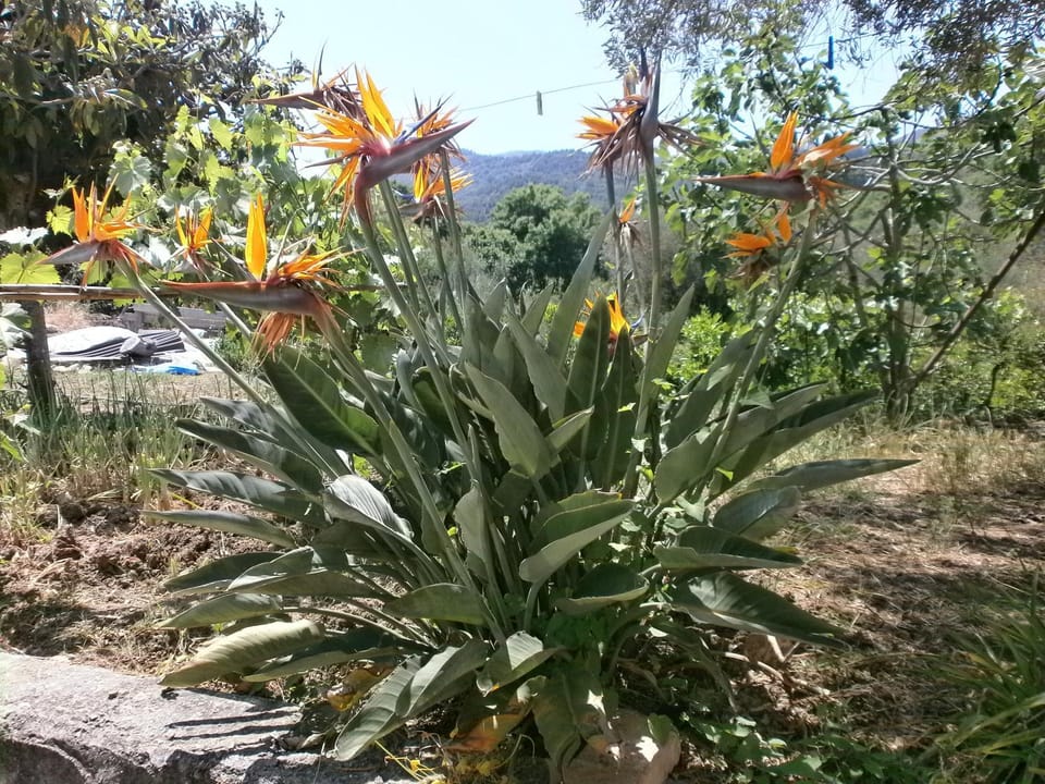 Casa Vacanze Campagna&mare Apartment in Sicily