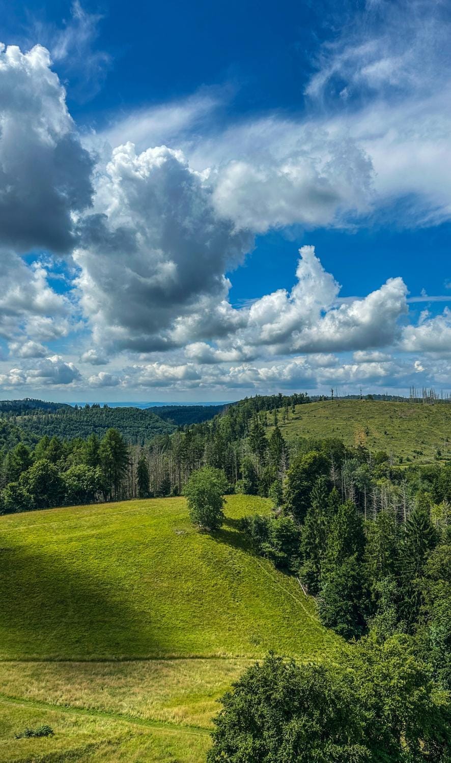 Spring, Day, Natural landscape, Mountain view
