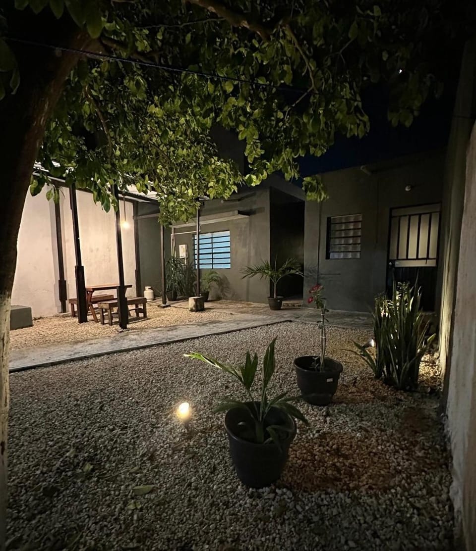 Patio, Garden