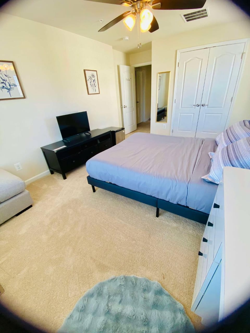 Bed, TV and multimedia, Living room, Photo of the whole room, Bedroom