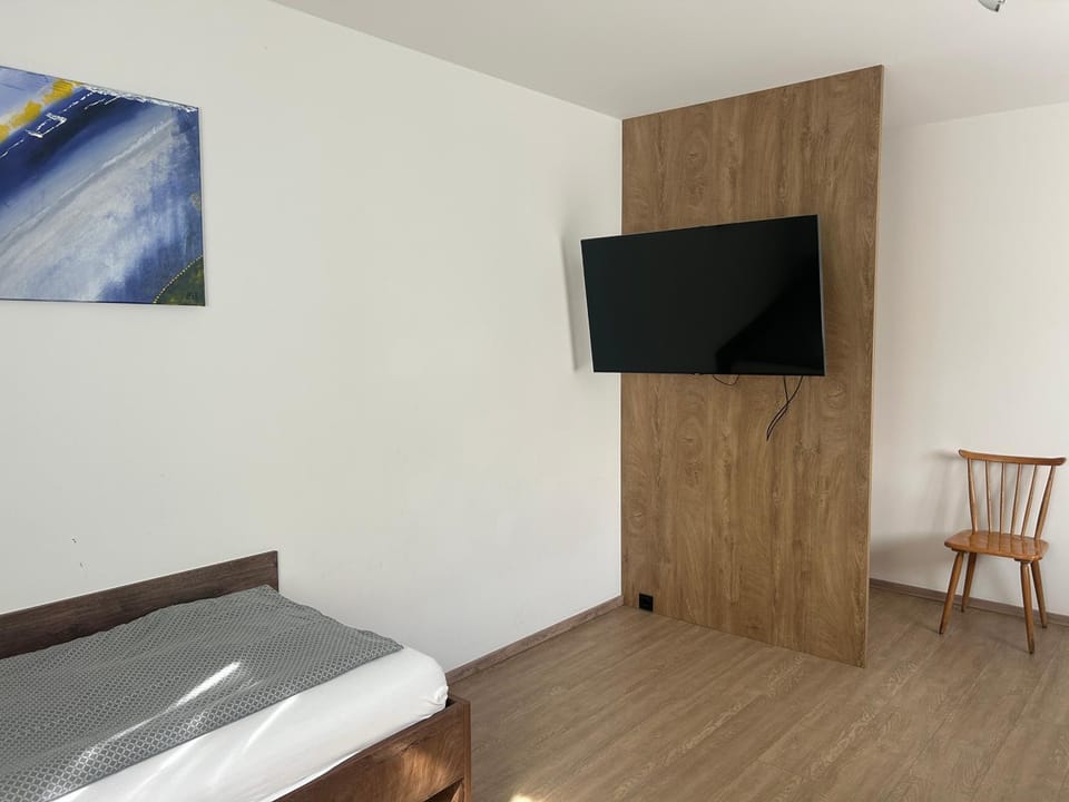 TV and multimedia