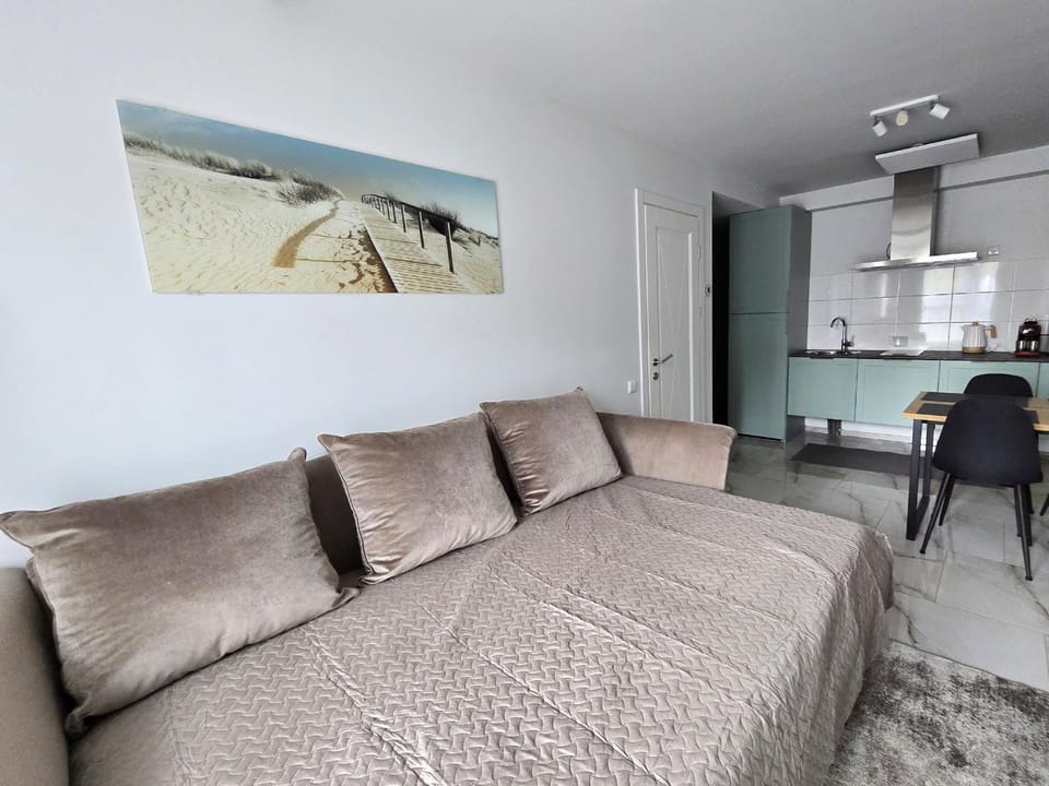 Bed, Living room, Photo of the whole room, Bedroom, air conditioner