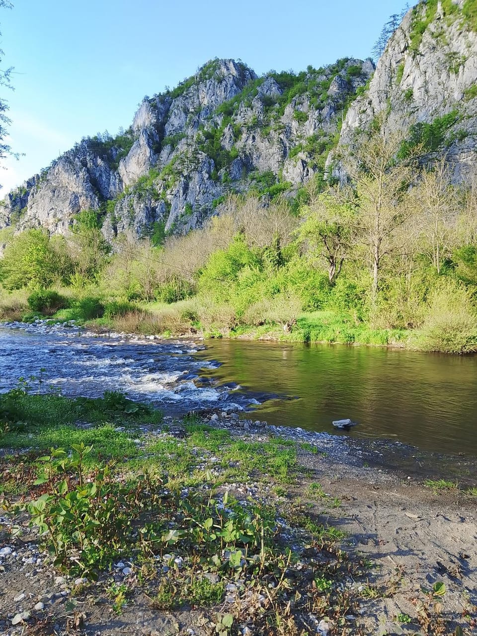 Camping Dobrunvik Campground/ 
RV Resort in Zlatibor District, Serbia