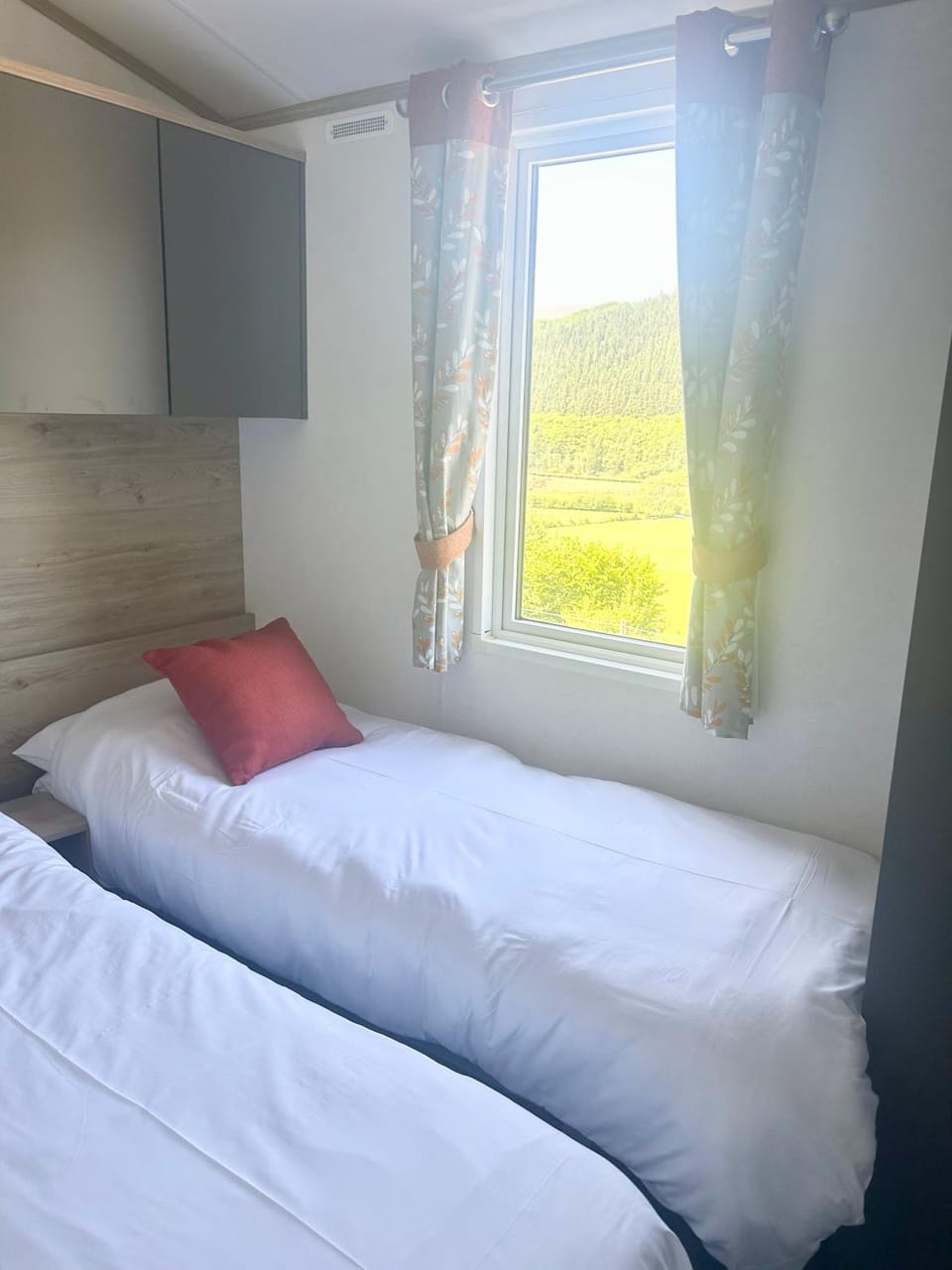 Caban Iago Lodge Apartment in Wales