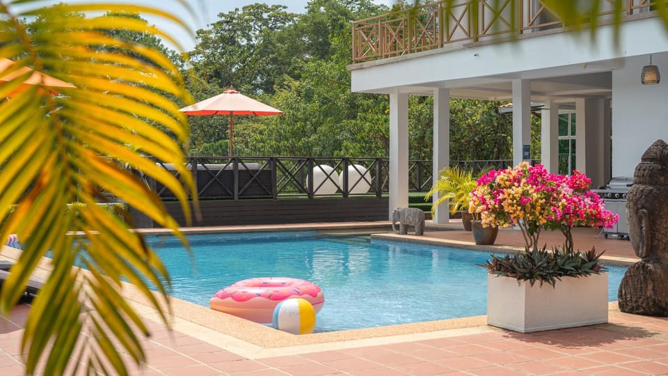 Day, Swimming pool, sunbed