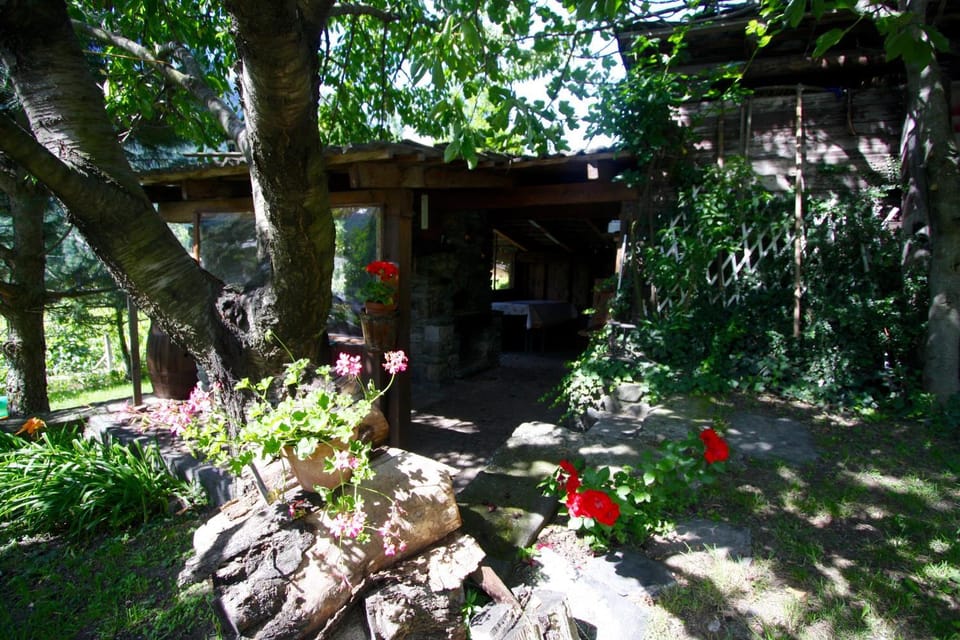 BBQ facilities, Garden