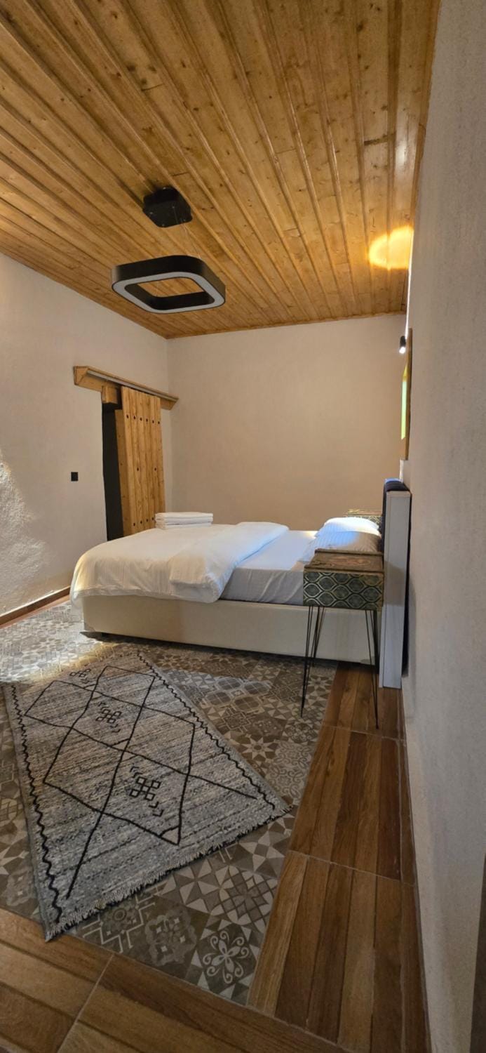Silenos Stone House Sille Antiq City Apartment hotel in Turkey