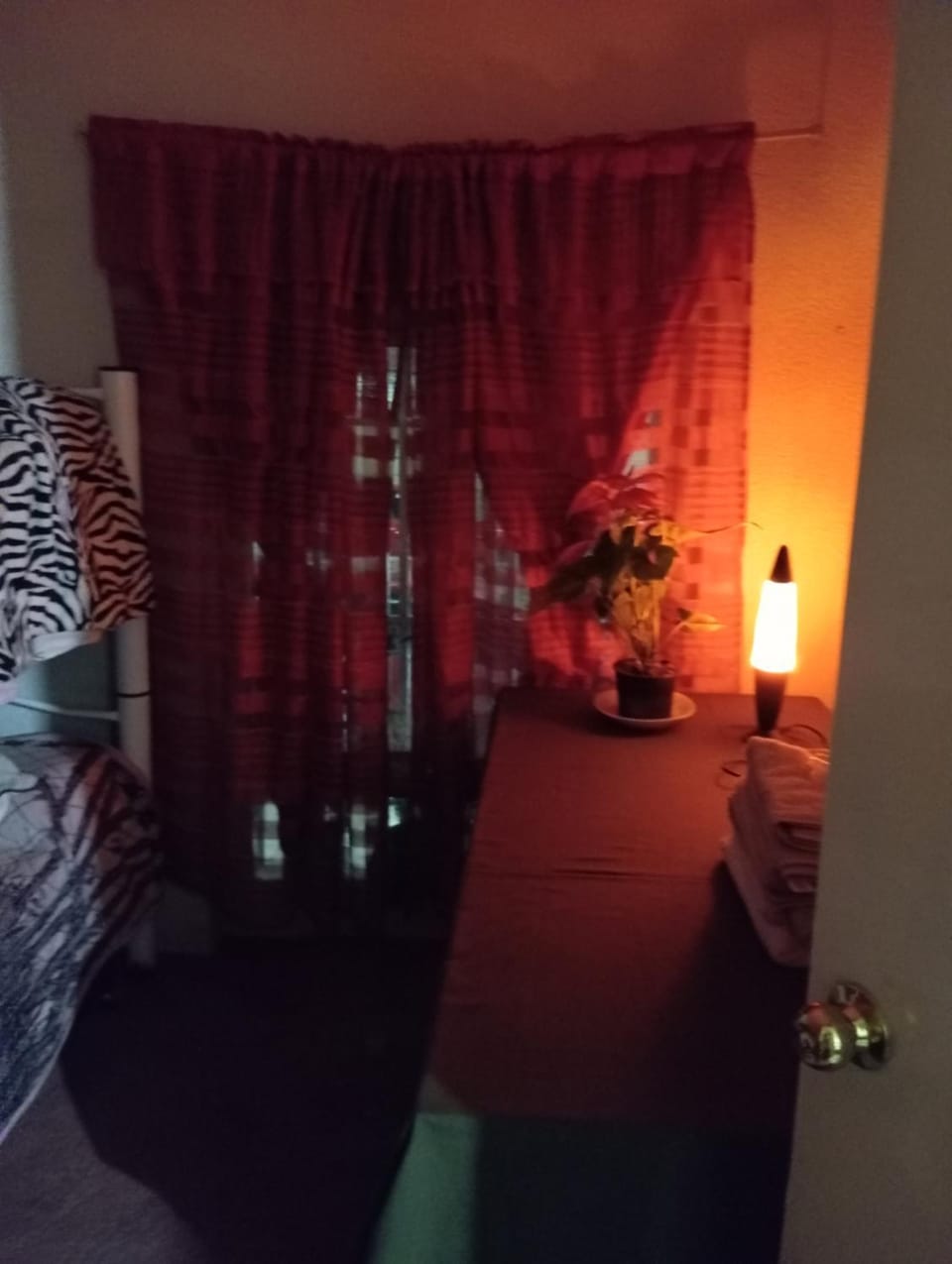 Encantador departamento en CDMX Apartment in Mexico City
