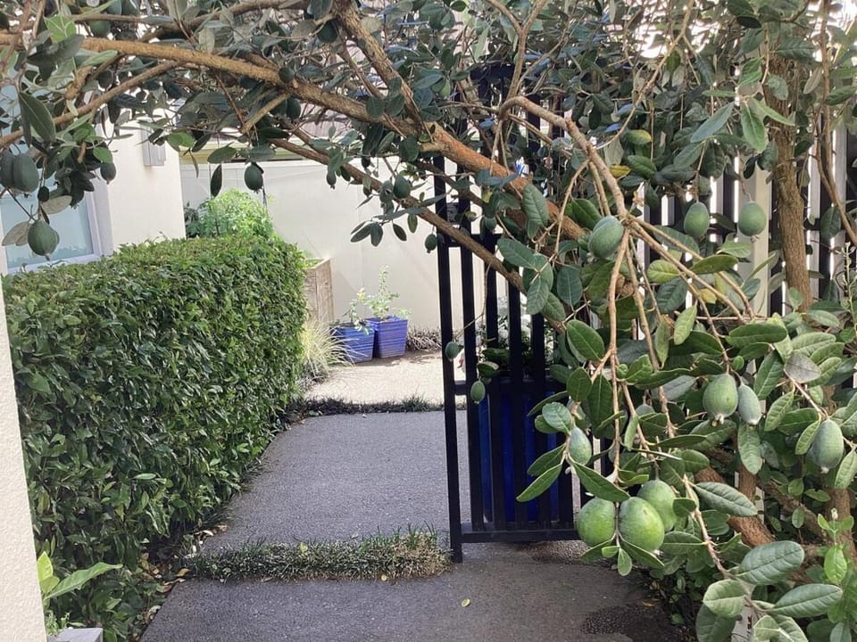 Garden view