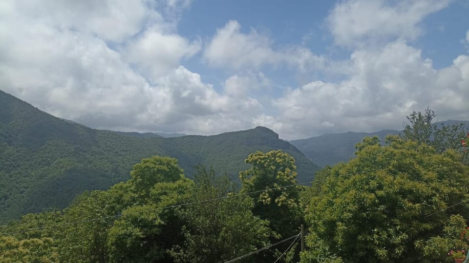 View (from property/room)