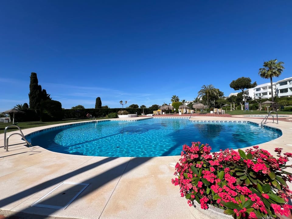 Pool view, Swimming pool, sunbed