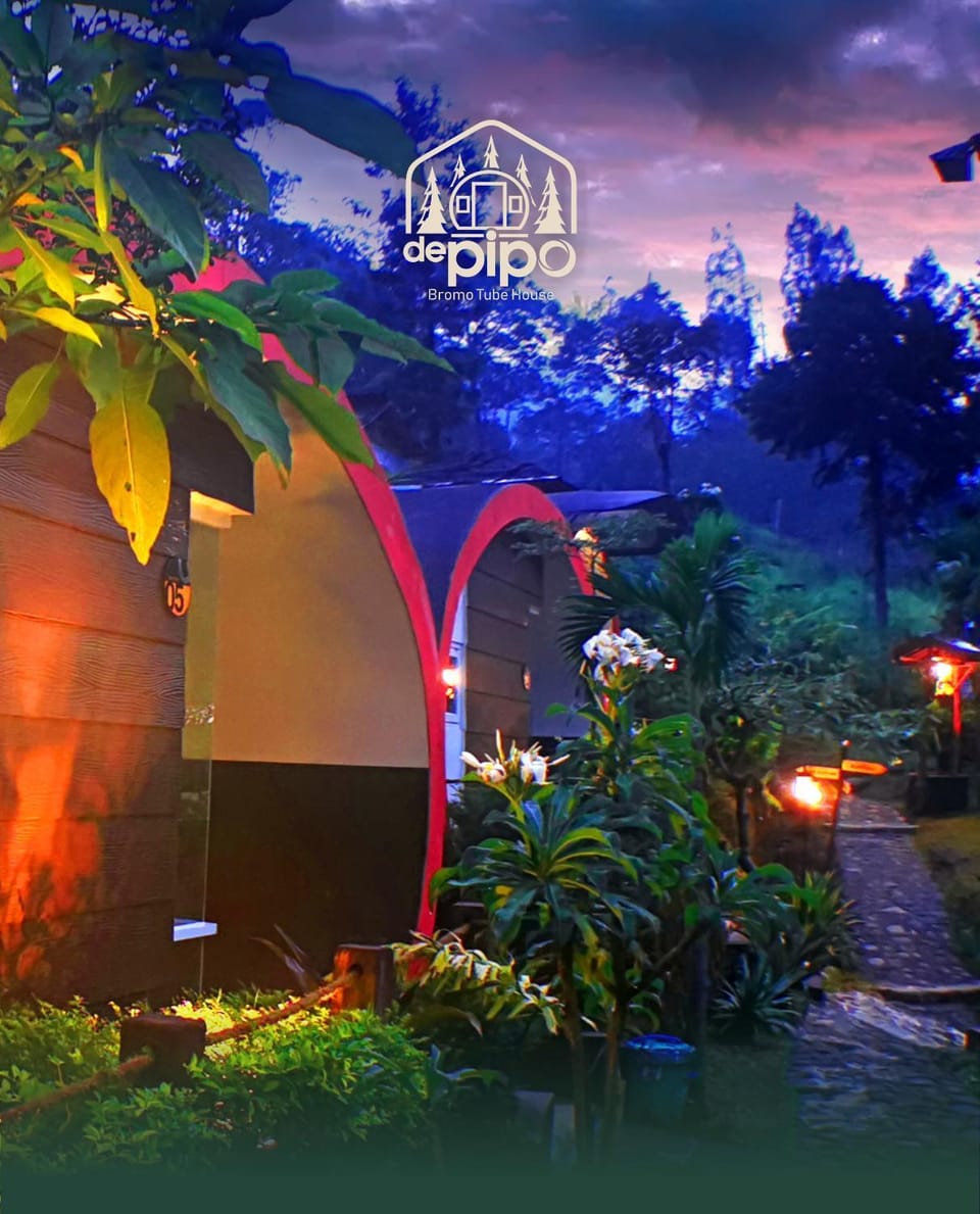 Night, Garden view