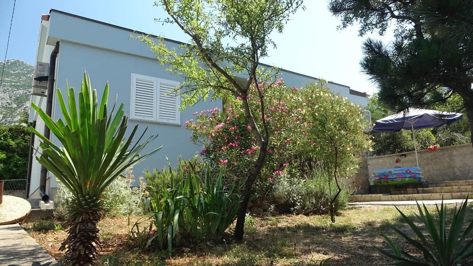 Property building, Garden