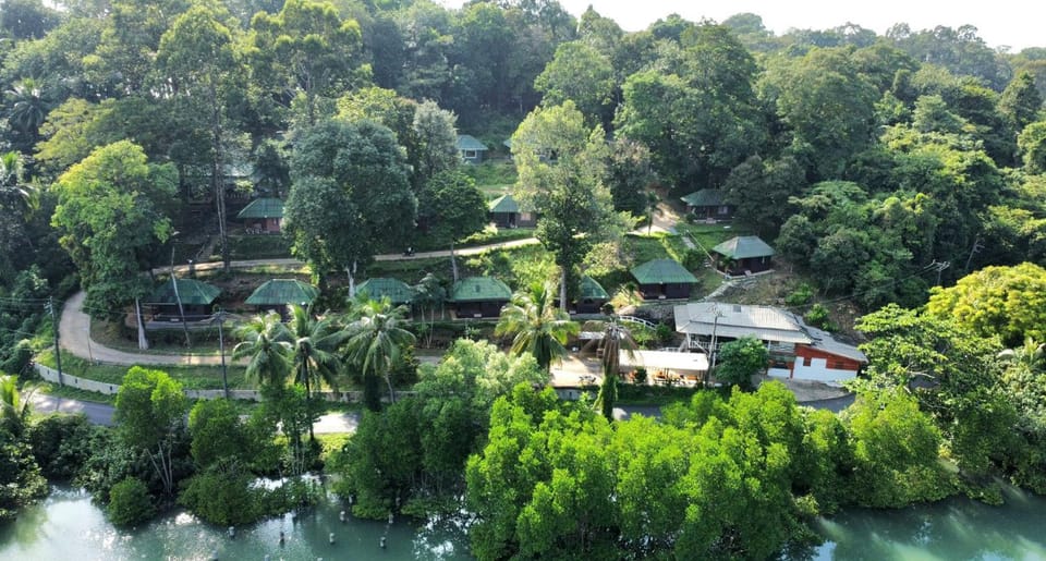 Natural landscape, Bird's eye view
