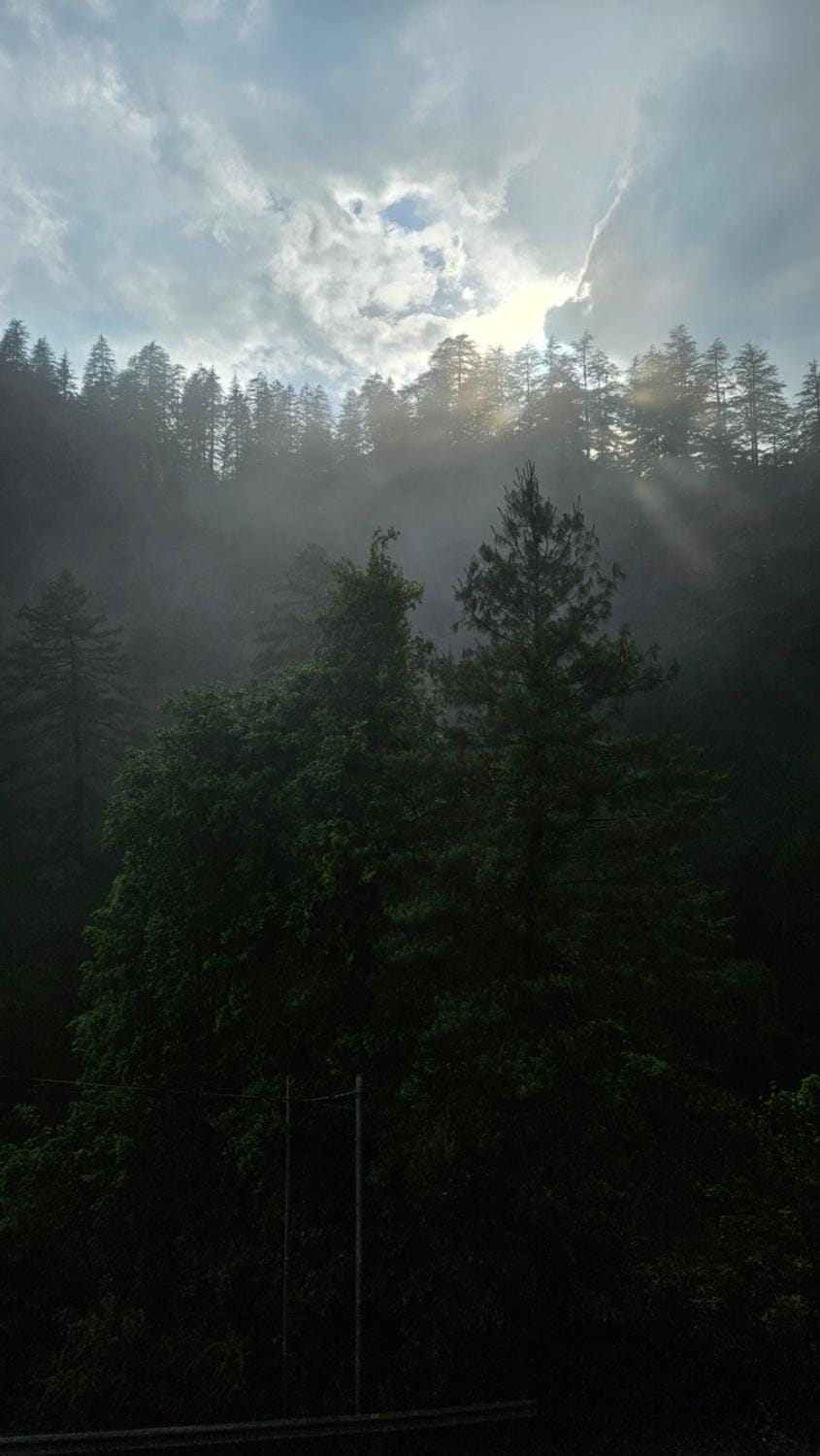 Mountain view