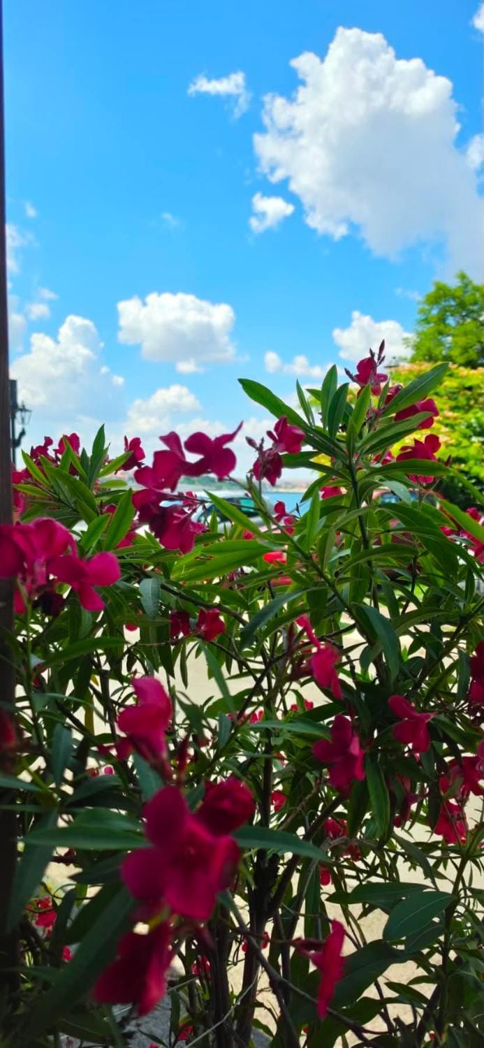 Saint George - Old Nesebar Bed and Breakfast in Nessebar