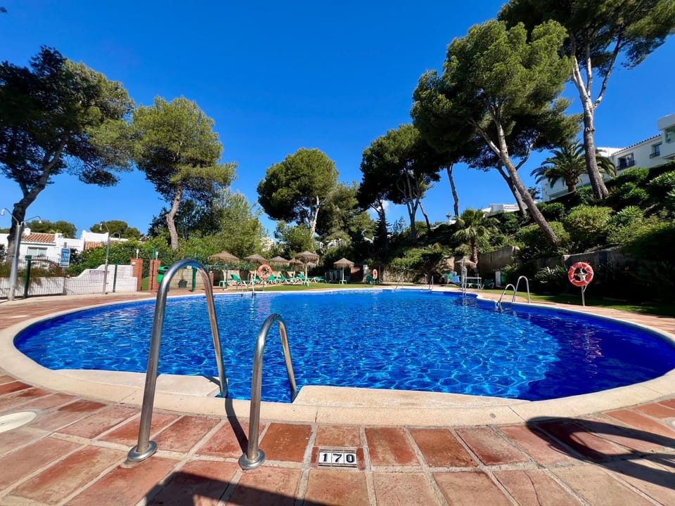 Garden, Garden view, Swimming pool, sunbed