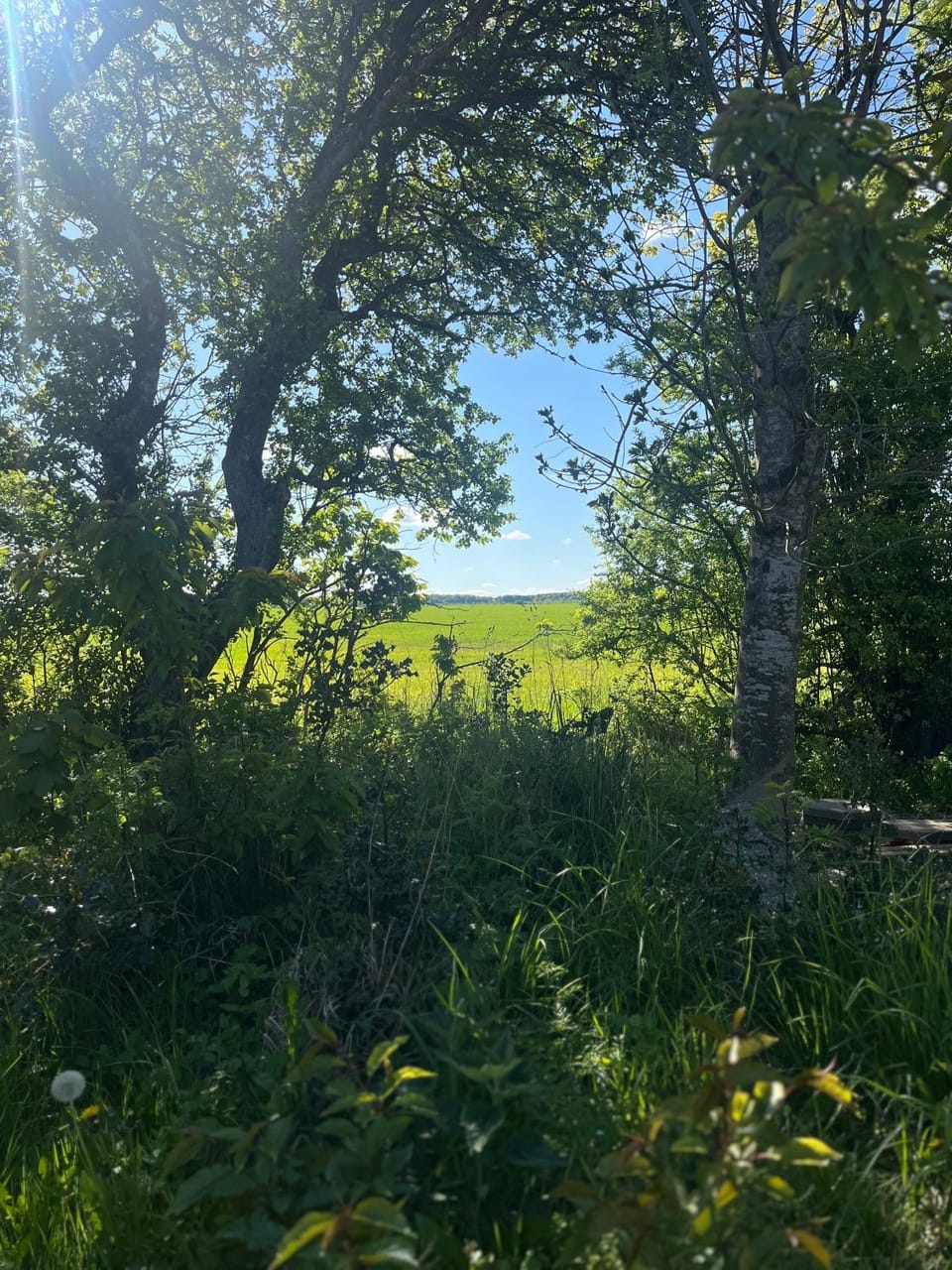 View (from property/room)