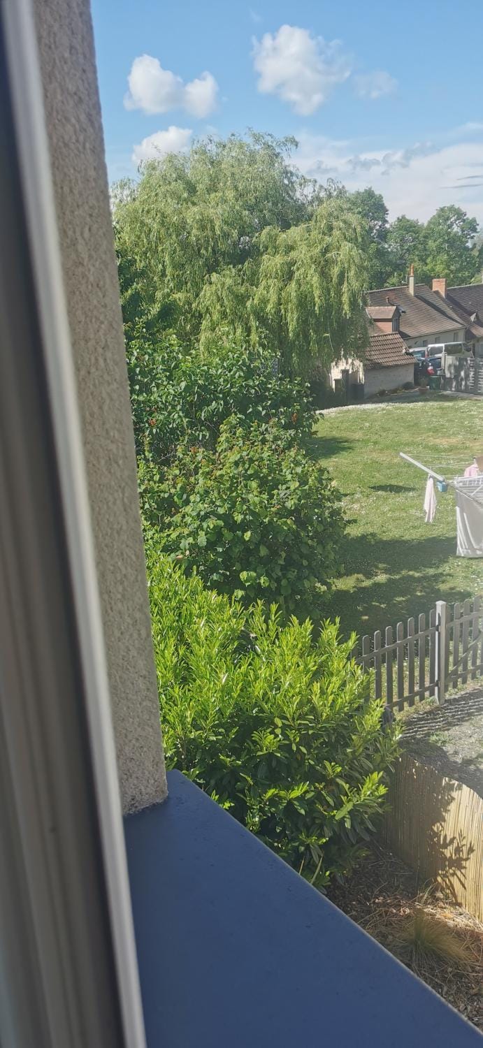 Garden view