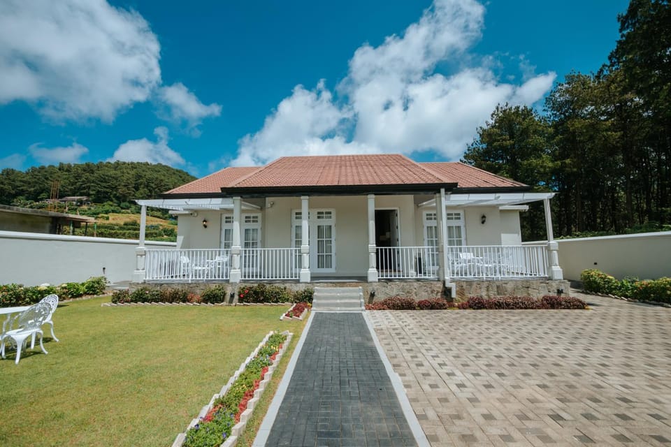 Property building, Garden, Garden view